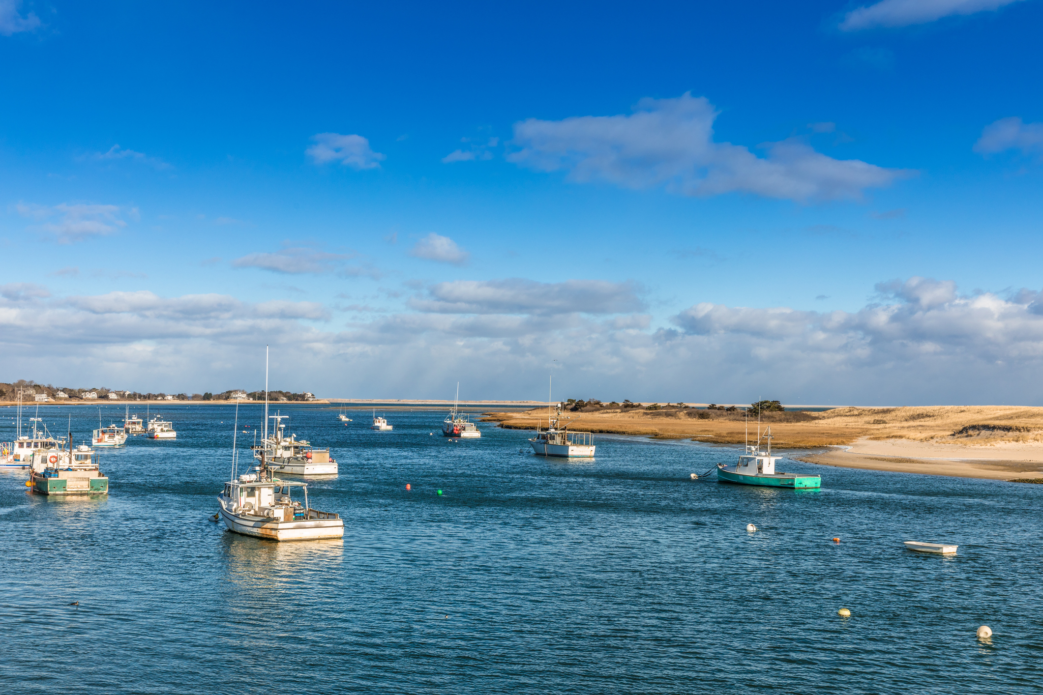 Fishing Shoots in Port Cape Code, USA Fishing Shoots in Port Cape Code, USA